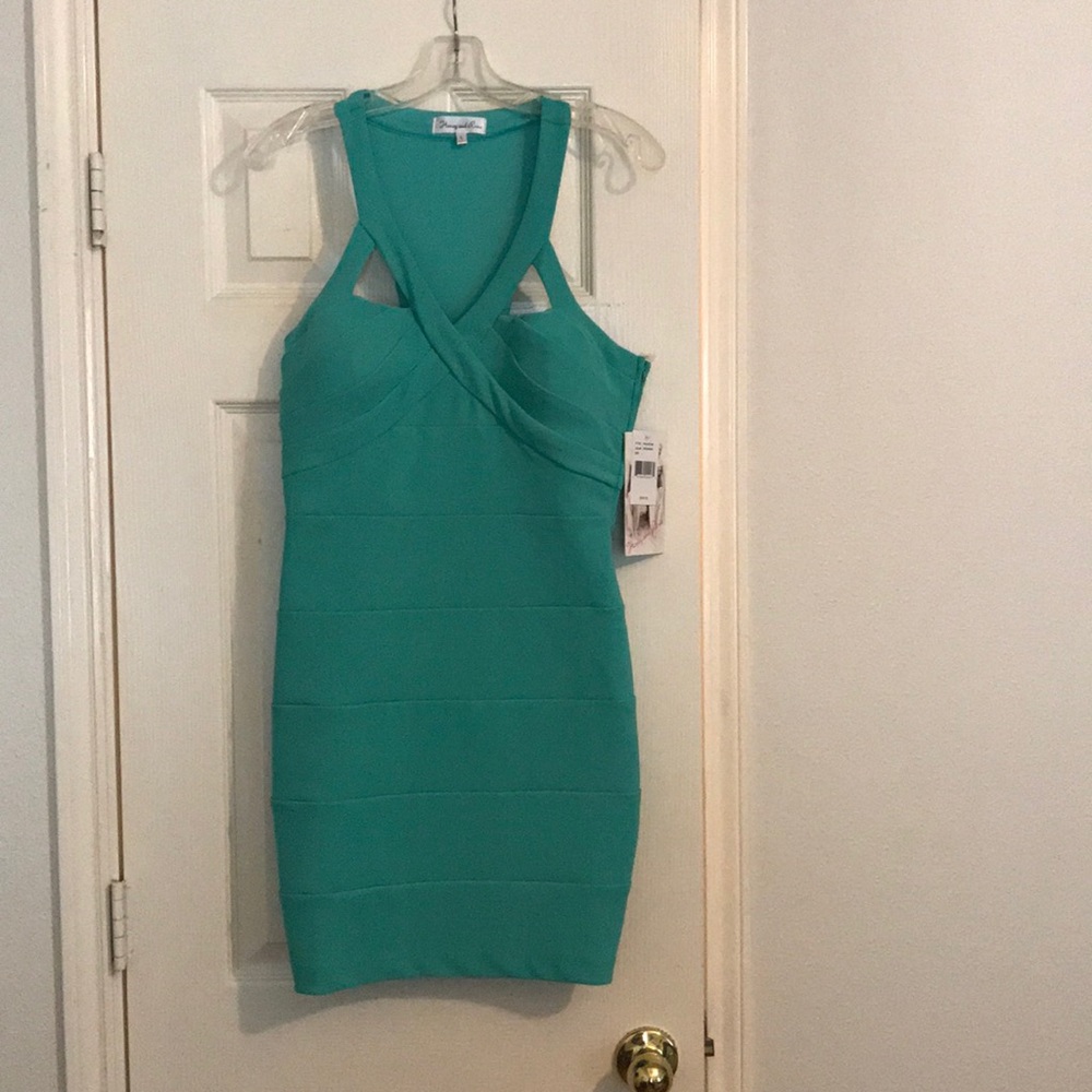 NWT Mint bodycon dress
